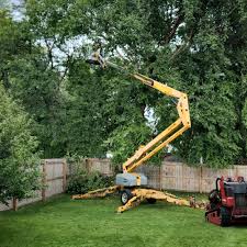 Best Tree Disease Treatment  in Centerville, PA