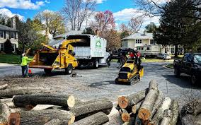 Lawn Renovation and Restoration in Centerville, PA