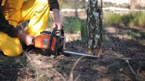 Best Lawn Irrigation Installation and Maintenance  in Centerville, PA