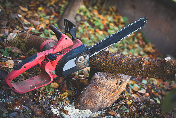 Best Commercial Tree Services  in Centerville, PA